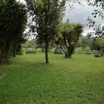 Funtanadetalia Olmedo