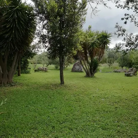 Funtanadetalia Olmedo