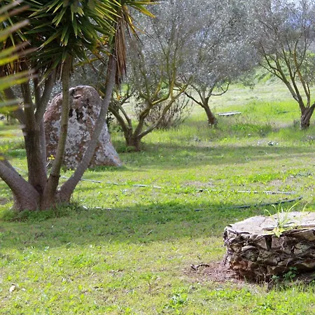 Bed and breakfast Funtanadetalia