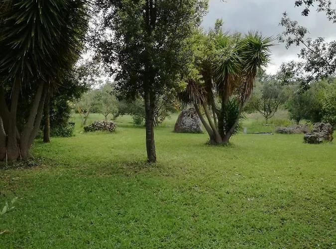 Funtanadetalia Olmedo